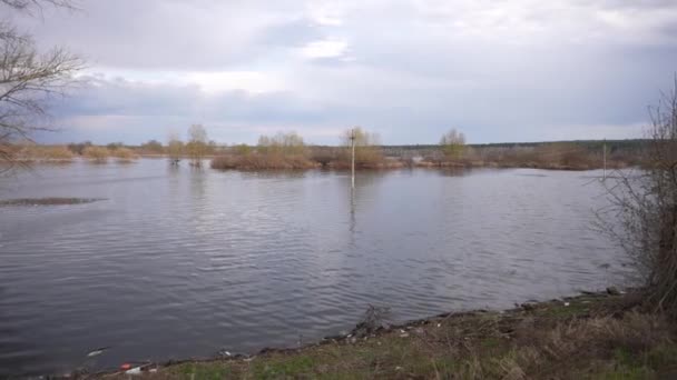 Banjir Pohon Dan Bidang Banjir Sungai Banjir Banjir Sungai Musim — Stok Video