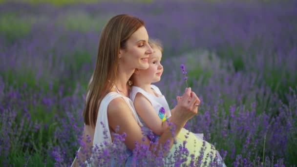 Uma Jovem Mãe Com Sua Filha Descansando Campo Lavanda Florescente — Vídeo de Stock