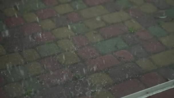 Des Gouttes Pluie Tombent Sur Les Pavés Par Une Journée — Video