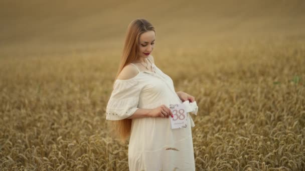 田舎の田舎でリラックスした美しい妊婦 自然の中でリラックスした出産休暇を楽しむ幸せな妊婦 — ストック動画