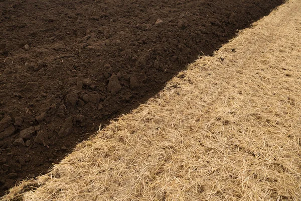 Ukrayna 'da hasat edilen buğday tarlaları