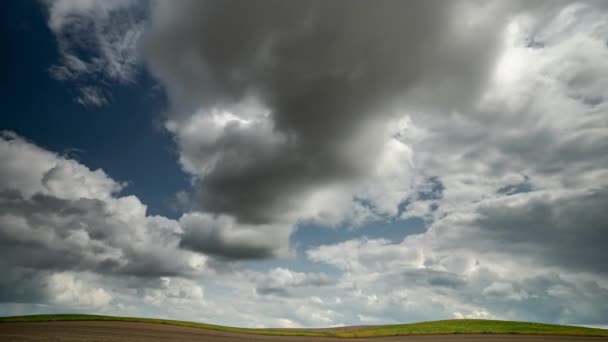 Nubes Grises Mueven Sobre Campo Amarillo — Vídeo de stock