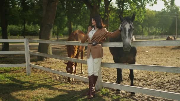 Ung Kvindelig Rytter Slår Hestehovedet – Stock-video