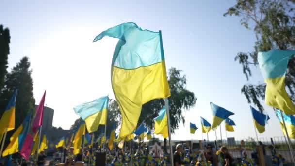 Tombes Militaires Ukrainiens Morts Pendant Invasion Russe Ukraine — Video