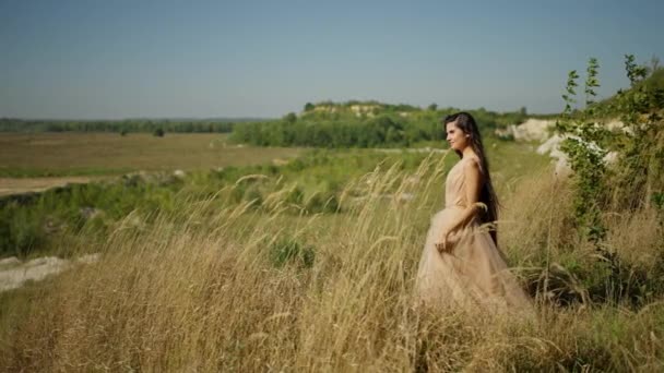 Piękna Młoda Dziewczyna Beżowej Sukience Zielonej Łące Wśród Wysokiej Trawy — Wideo stockowe
