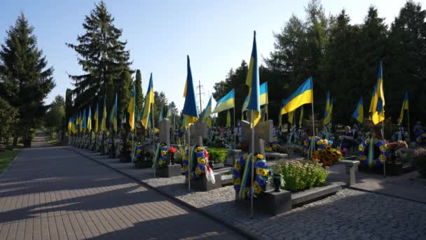 ウクライナの黄色と青色の旗は 墓地の倒れた兵士の墓の上を飛行する ロシア ウクライナ戦争で亡くなったウクライナの英雄のアリー 損失について — ストック動画
