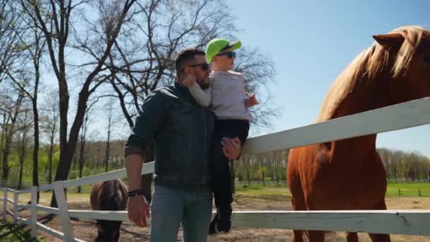 一个小男孩抚摸着用蹄子顶住的马 — 图库视频影像