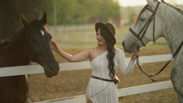 Junge Frau Hat Spaß Auf Dem Bauernhof Hält Pferde Zaumzeug — Stockvideo