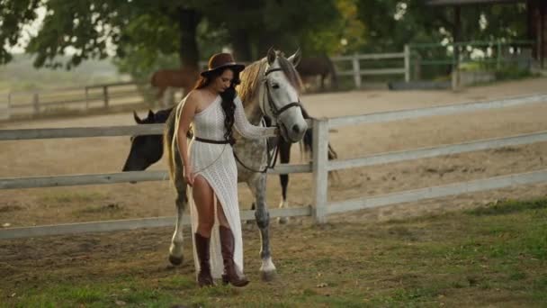 Ένα Κορίτσι Οδηγεί Ένα Τιράντες Άλογο Από Χαλινάρι Στην Ύπαιθρο — Αρχείο Βίντεο