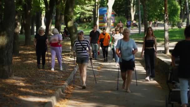 Ludzie Robią Nordic Walking Parku Pomocą Kijków Trekkingowych — Wideo stockowe