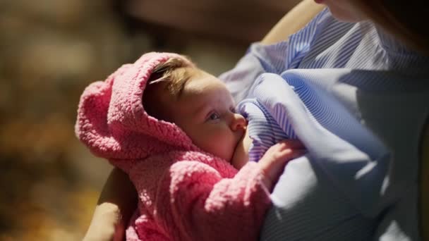 Close Van Een Moeder Die Een Pasgeboren Baby Borstvoeding Geeft — Stockvideo
