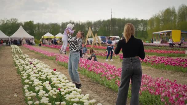 Люди Фотографируют Мобильных Телефонах Фоне Тюльпанов — стоковое видео