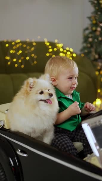 犬と一緒にいる少年がクリスマスに小さな車に乗る — ストック動画