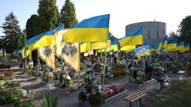 우크라이나의 노란색과 파란색 깃발은 묘지에 떨어진 군인의 무덤을 러시아 우크라이나 — 비디오