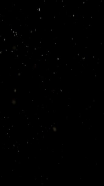 Snow Overlays Realistisch Auf Schwarzem Hintergrund — Stockvideo