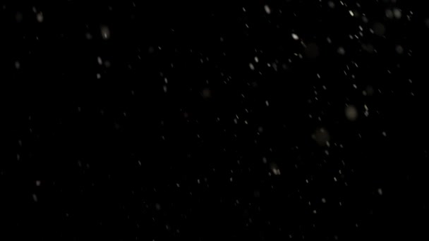 Snow Overlays Realistic Black Background — Stock Video