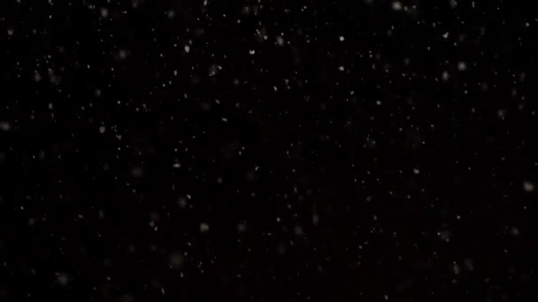 Snow Overlays Realistic Black Background — Stock Video