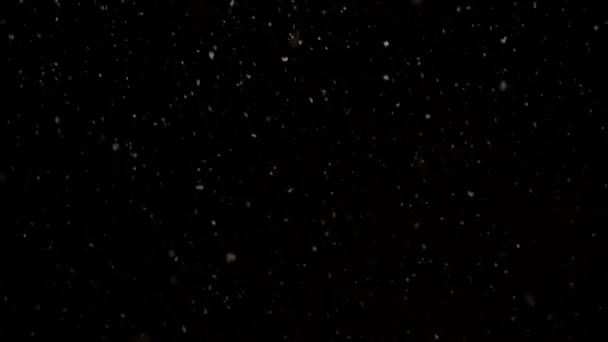 Snö Överlägg Realistisk Svart Bakgrund — Stockvideo