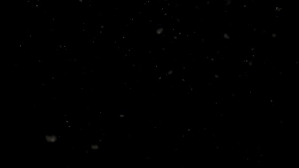 Sníh Překryvy Realistické Černém Pozadí — Stock video