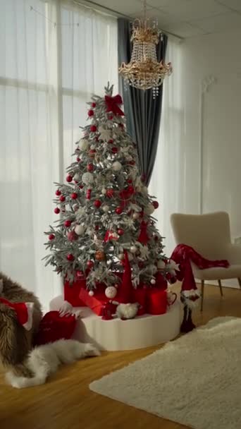 Uma Árvore Natal Decorada Sala Estar — Vídeo de Stock