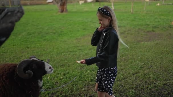 Ένα Κορίτσι Ταΐζει Φρούτα Μια Κατσίκα Κέρατα — Αρχείο Βίντεο