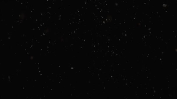 Snow Overlays Realistisch Auf Schwarzem Hintergrund — Stockvideo