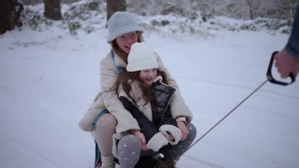 Ευτυχισμένη Οικογένεια Παιδιά Κάνουν Έλκηθρο Ένα Χιονισμένο Δάσος — Αρχείο Βίντεο