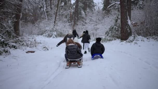 Nastoletnie Dzieci Bawią Się Śnieżnej Zimie Sanki — Wideo stockowe
