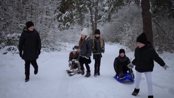 暖かい服とミトンで幸せな子供たちは笑顔で雪の森で眠る — ストック動画
