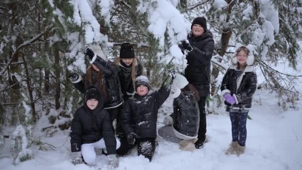 子供たちは冬の森でクリスマスツリーから雪を吹き飛ばしています ハッピーウィンターホリデー — ストック動画