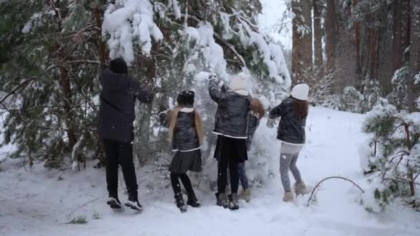 Fröhliche Kinder Amüsieren Sich Einem Weißen Winterpark Lächeln Werfen Sich — Stockvideo
