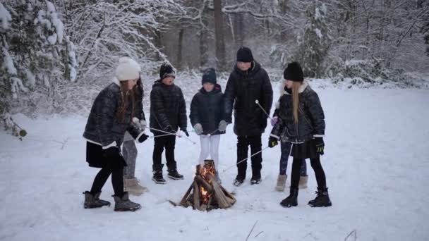 Małe Dzieci Przyjaciele Przy Ognisku Pieczenie Pianek Patyku Podczas Zimowego — Wideo stockowe