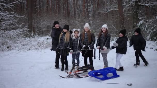 陽気な子供たちは雪の凍った森で晴れた日に冬の散歩を楽しむ — ストック動画