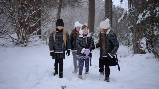Φιλενάδες Απολαμβάνουν Πεζοπορία Στο Χειμερινό Δάσος — Αρχείο Βίντεο