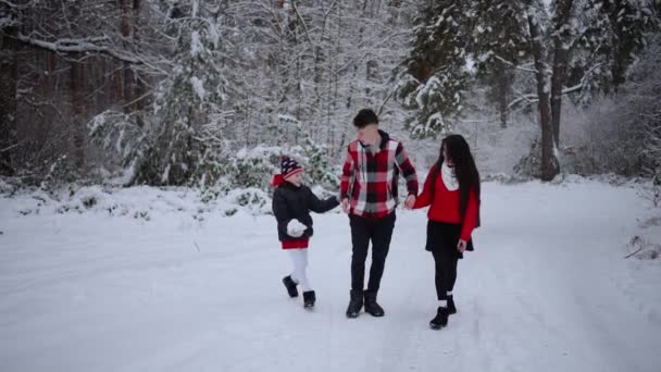 一家人喜欢在雪地里散步 — 图库视频影像