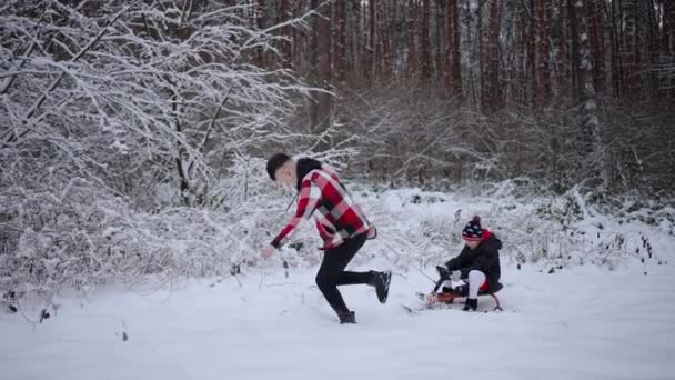 Ein Vater Rodelt Mit Seinem Sohn Verschneiten Wald Sie Haben — Stockvideo