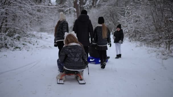 スローモーショントラッキングショット 幸せな子供たちが森で冬の日を楽しんでいる笑う少女とソリを引っ張る — ストック動画