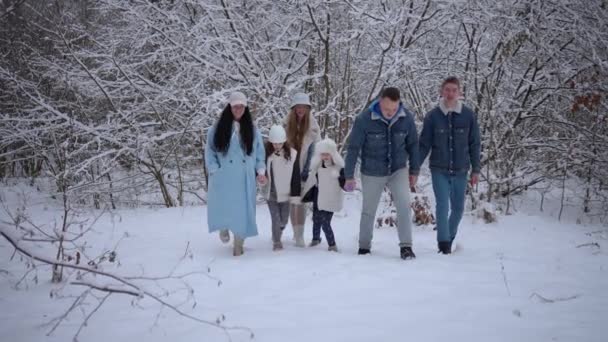 Ευτυχισμένα Παιδιά Τους Γονείς Τους Περπατούν Στη Φύση Χειμώνα Κρατώντας — Αρχείο Βίντεο