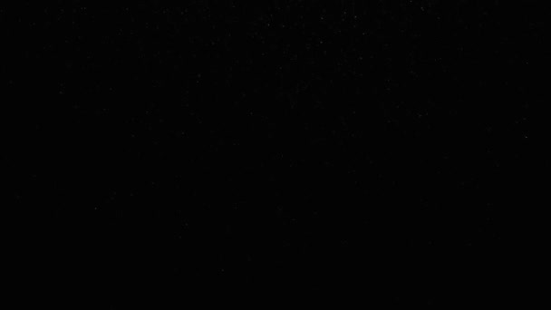 黒い背景で雪のオーバーレイ 現実的 — ストック動画