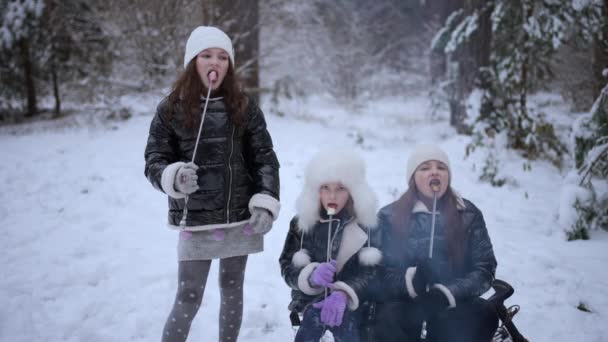 Παιδιά Ταξιδεύουν Μέσα Στο Δάσος Χειμώνα — Αρχείο Βίντεο