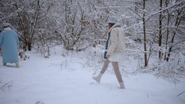 Mensen Lopen Diepe Sneeuw Het Bos Zijaanzicht — Stockvideo