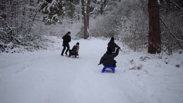 幸せな子供たちが雪の中で寝ている 冬の公園で暖かい服を着ている子供たちと少年たち — ストック動画