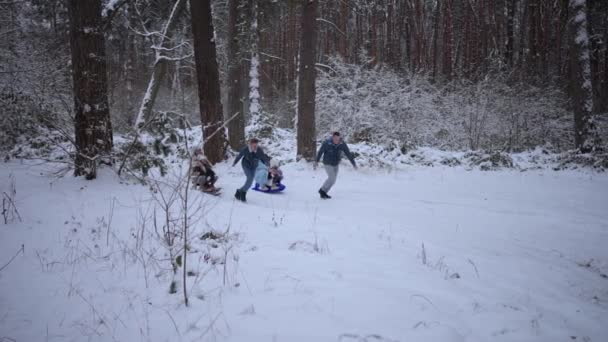 Μια Οικογενειακή Βόλτα Στο Χειμερινό Δάσος Σλίντινγκ Στο Δάσος — Αρχείο Βίντεο
