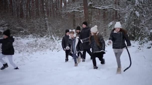 少年少女と学校の年齢は 吹雪の後 冬に森で走る — ストック動画