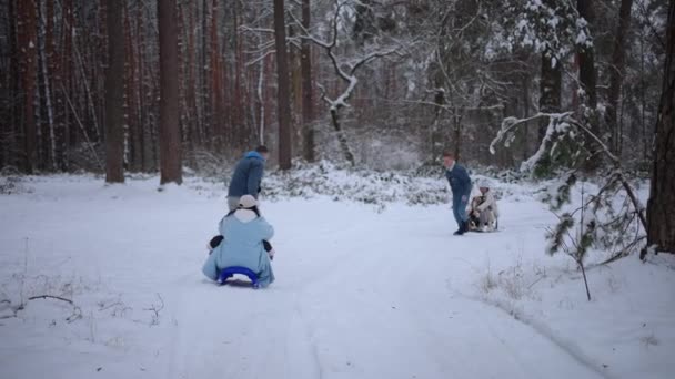 父亲在冬天的森林里奔跑 拖着雪橇 快乐的家庭周末 — 图库视频影像
