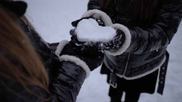 Los Niños Hicieron Corazón Nieve — Vídeo de stock