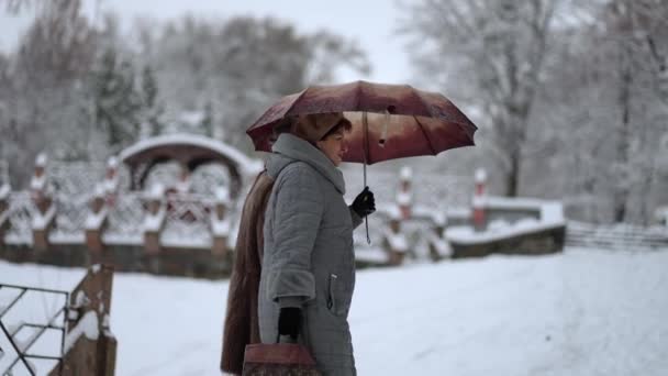Gente Caminando Por Una Calle Nevada Llena Árboles Cubiertos Nieve — Vídeos de Stock