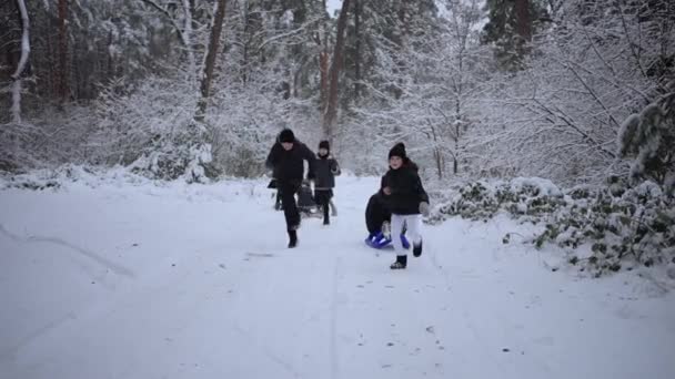 아이들이 겨울에 옥외에서 친구와 — 비디오