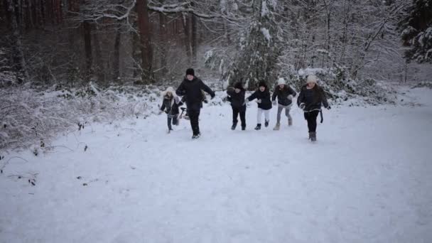 Dzieci Biegające Bawiące Się Cieszące Zimą Spacerując Śnieżnym Parku — Wideo stockowe