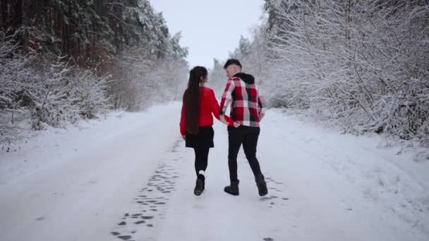 かわいいカップルは 冬の森を歩き 手を握って抱きしめる — ストック動画